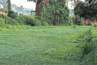 Navelim locals urge govt to help rid Mandopa River of garbage, aquatic weeds to welcome migratory birds