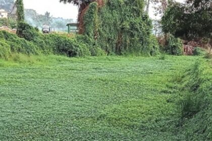 Navelim locals urge govt to help rid Mandopa River of garbage, aquatic weeds to welcome migratory birds