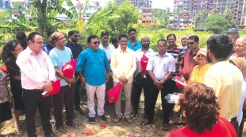 Navelim’s agricultural renaissance: 35 years on, farmers and community join forces to reclaim fallow fields