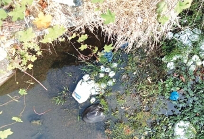 Navelim’s shame: Once-pristine rivulet now a filthy nullah choked with dirty diapers, chicken carcasses 1 Navelim’s shame: Once-pristine rivulet now a filthy nullah choked with dirty diapers, chicken carcasses