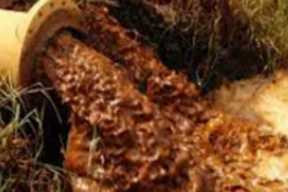 Navelkars want authorities to  stop sewage release into fields