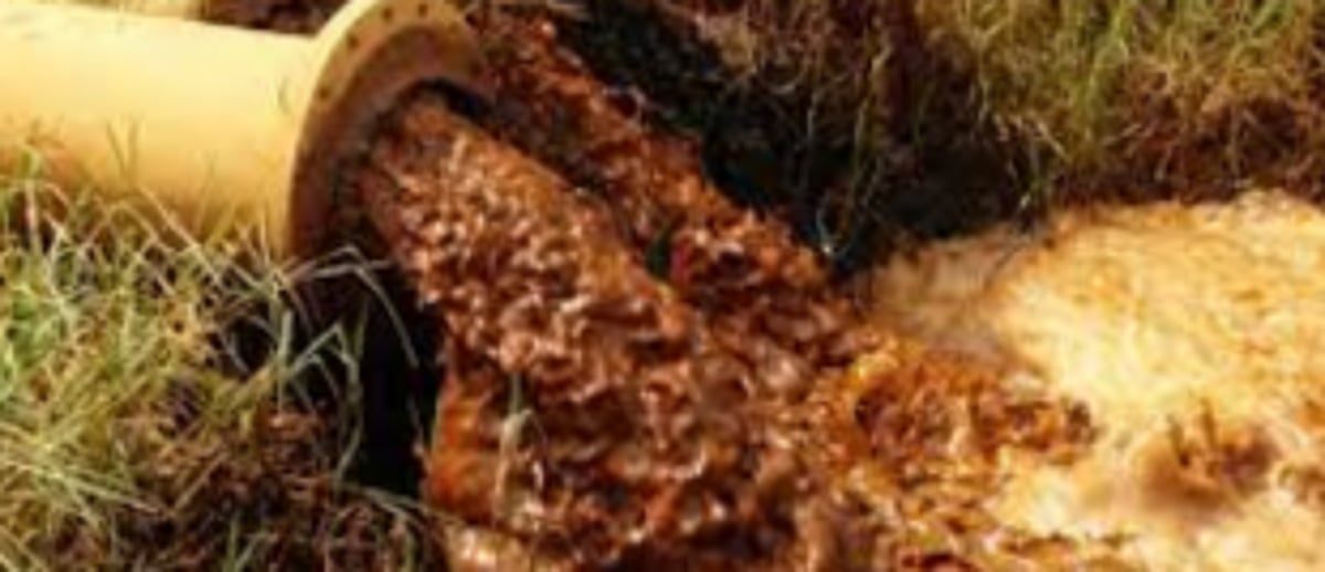 Navelkars want authorities to  stop sewage release into fields