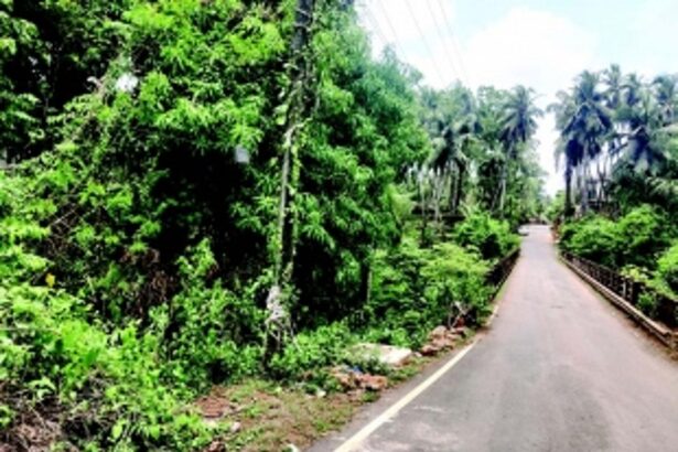 Nearly a year after tragic accident, PWD yet  to barricade entry point of Taripanto Bridge