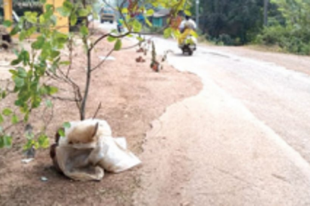 Nearly a yr later, work to level Nanus-Ganjem road commences