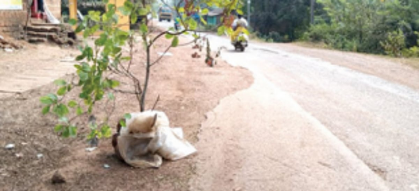 Nearly a yr later, work to level Nanus-Ganjem road commences