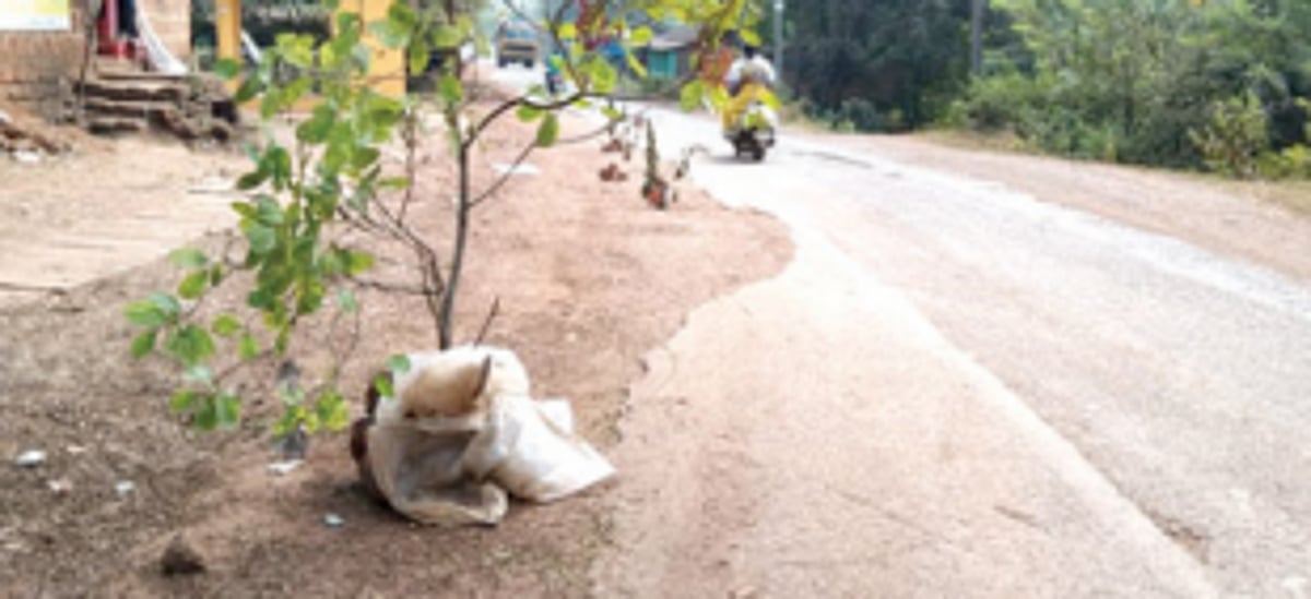 Nearly a yr later, work to level Nanus-Ganjem road commences