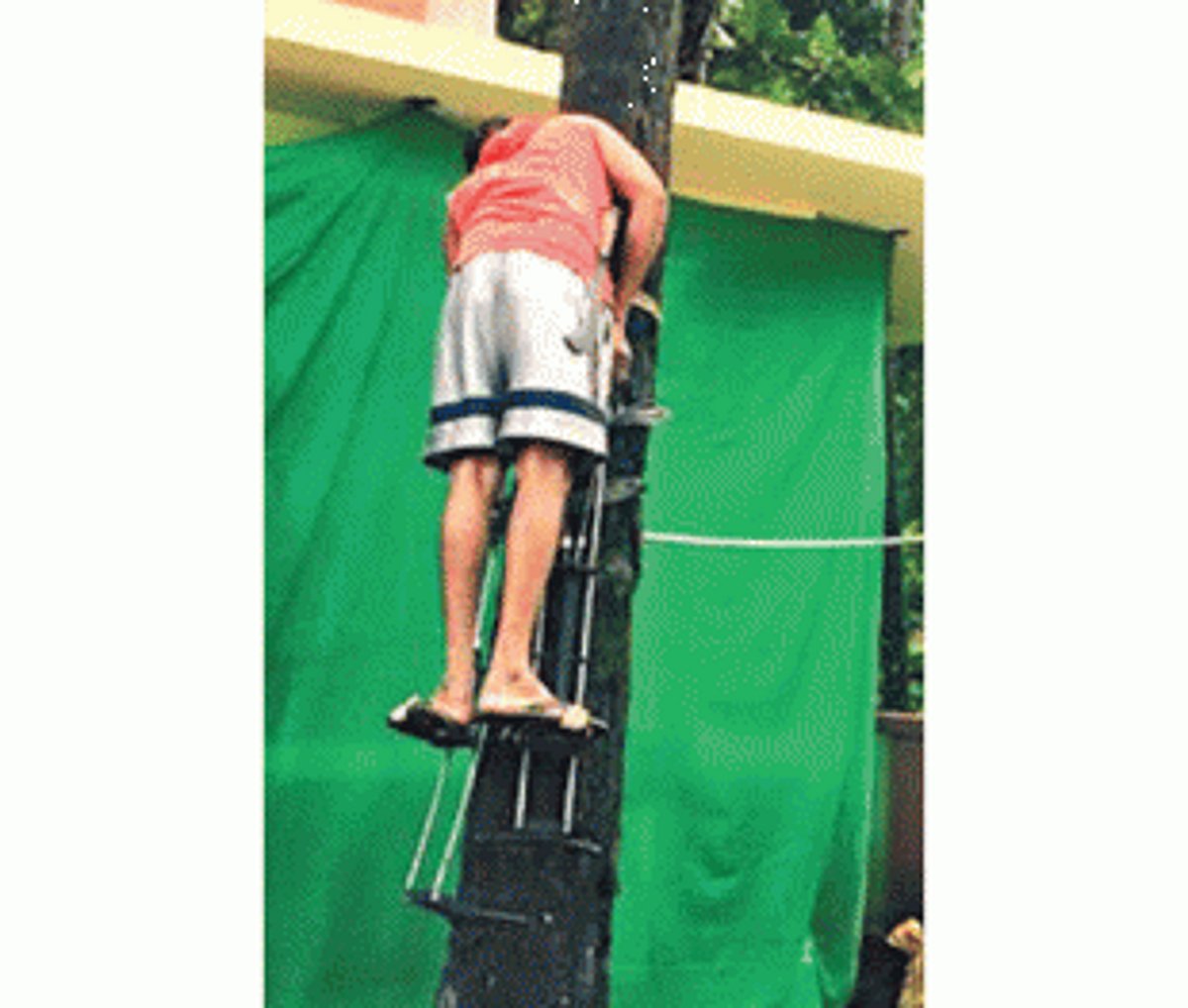 Need a padekar? Go online