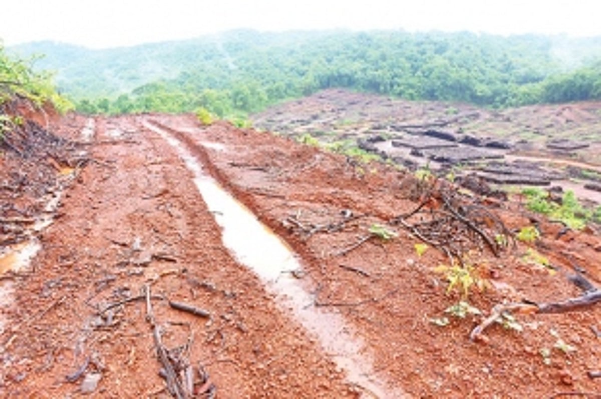 Need for radical change in lifestyle