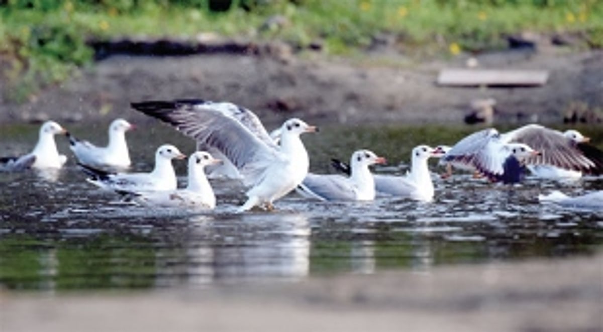 Need more than just talk