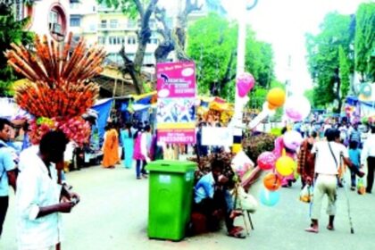 Need to guard against dengue during Vasco Saptah