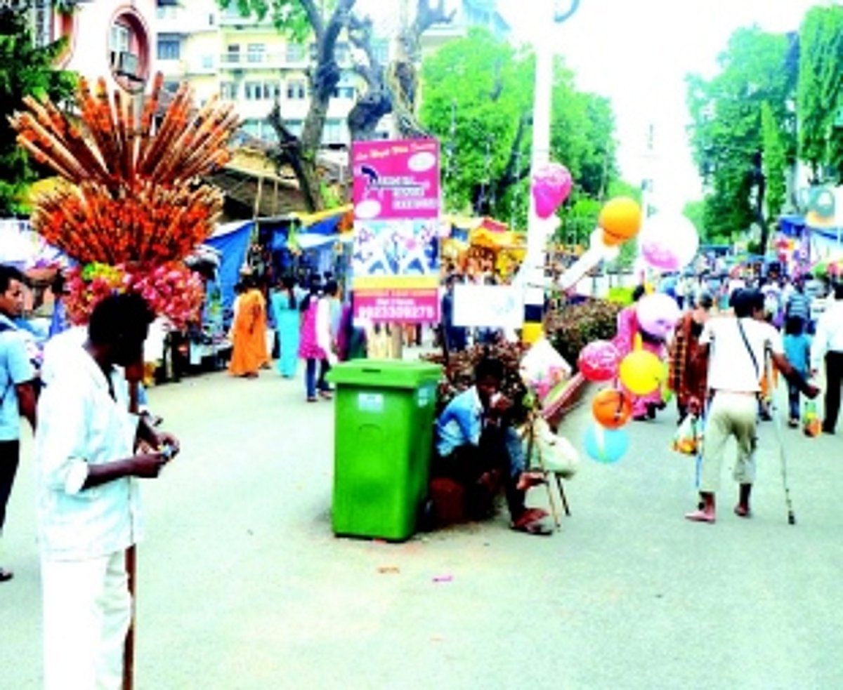 Need to guard against dengue during Vasco Saptah