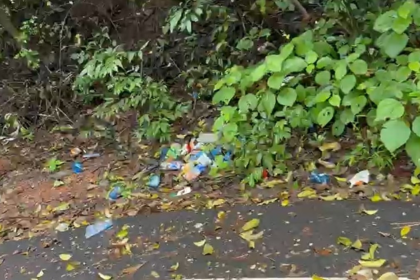 Neglect Turns Bamanbudo Waterfall Into Health Hazard: Overflowing Garbage, Poor Maintenance Alarming Visitors