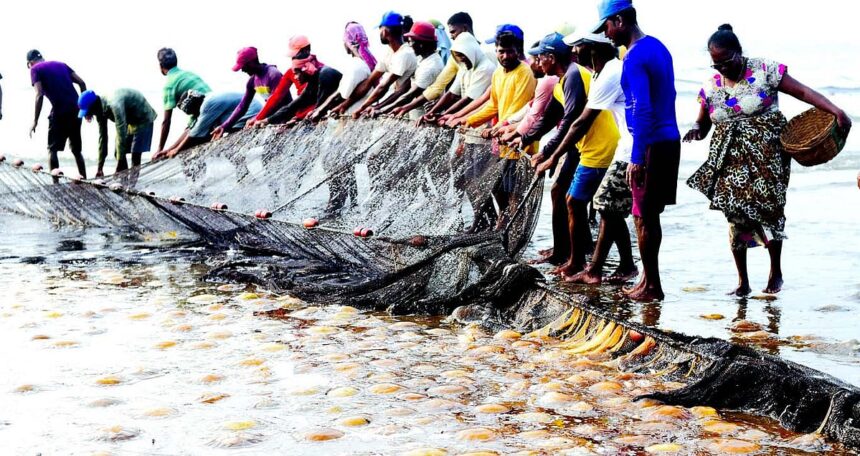 Neglect of Goa’s fisherfolk risks livelihoods, marine ecosystem 1 Neglect of Goa’s fisherfolk
risks livelihoods,
marine ecosystem
