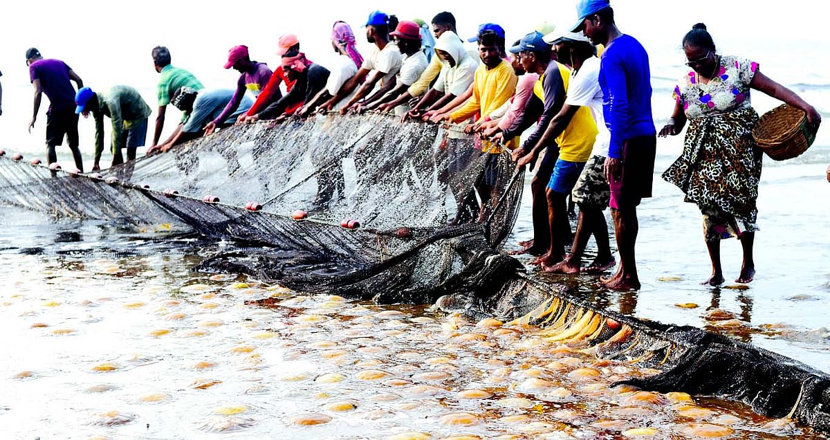 Neglect of Goa’s fisherfolk
risks livelihoods,
marine ecosystem
