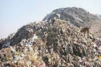 Neglected Saplings Raise Doubts Over Sonsoddo Urban Forest Project in Margao