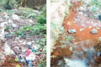 Neglected and choked with litter, fresh water springs around Ponda on brink of extinction