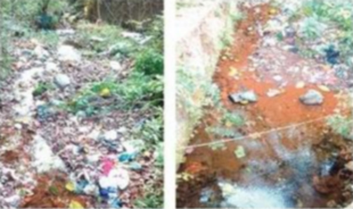 Neglected and choked with litter, fresh water springs around Ponda on brink of extinction