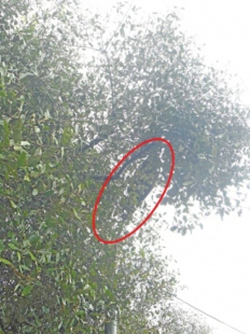 Neglected electrical fixtures deserve prompt attention