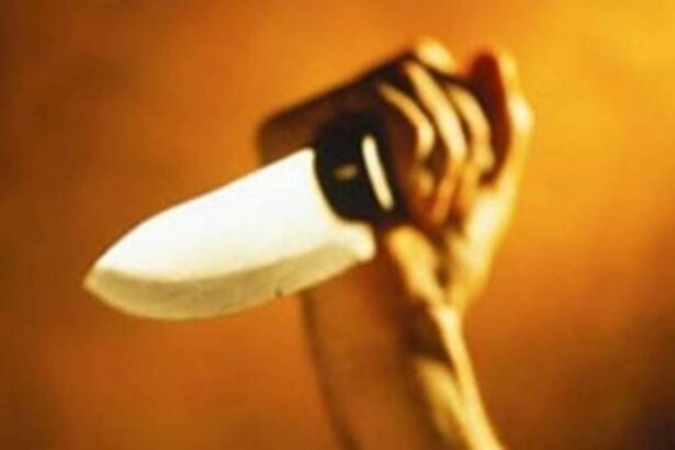 Nephew stabs uncle   to death   at Dapot