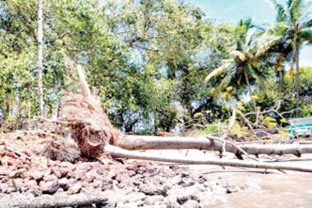 Nerul villagers request for concrete protection against damaged rubber wall