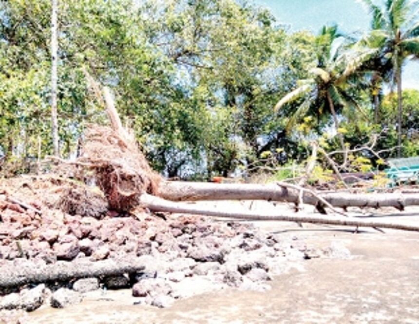 Nerul villagers request for concrete protection against damaged rubber wall