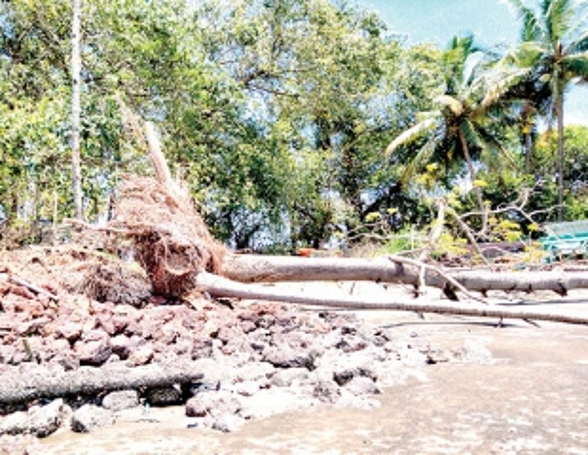 Nerul villagers request for concrete protection against damaged rubber wall