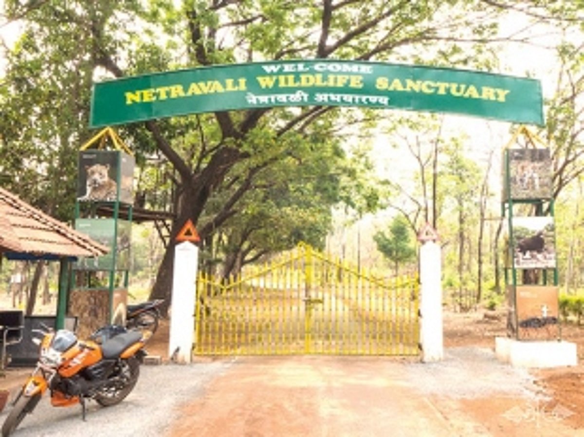 Netravali villagers hail appointment  of collector to settle property cases