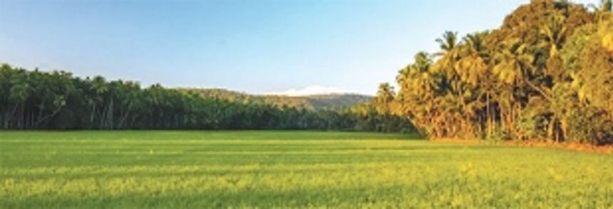 Never far from the heart