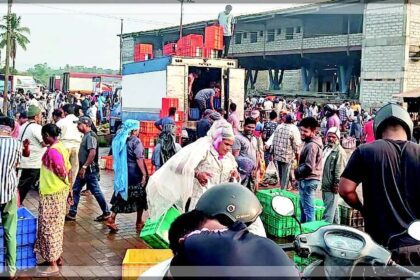 New Margao Fish Market to Open Without Cold Storage, Raising Concerns Among Fishermen