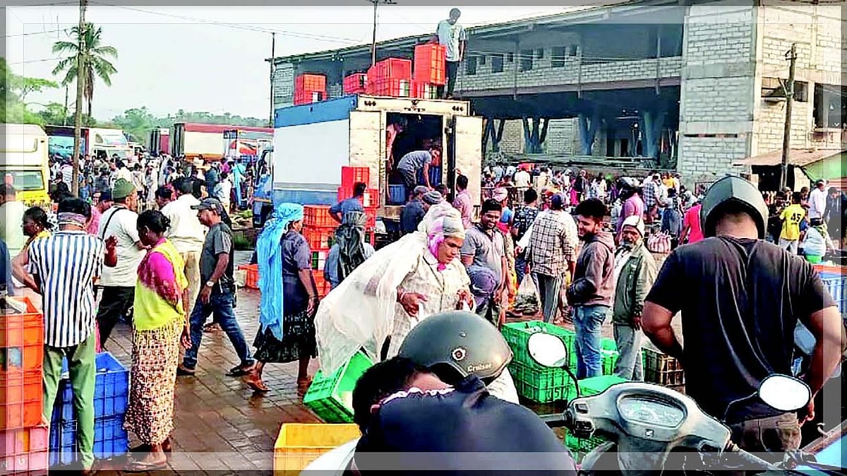 New Margao Fish Market to Open Without Cold Storage, Raising Concerns Among Fishermen