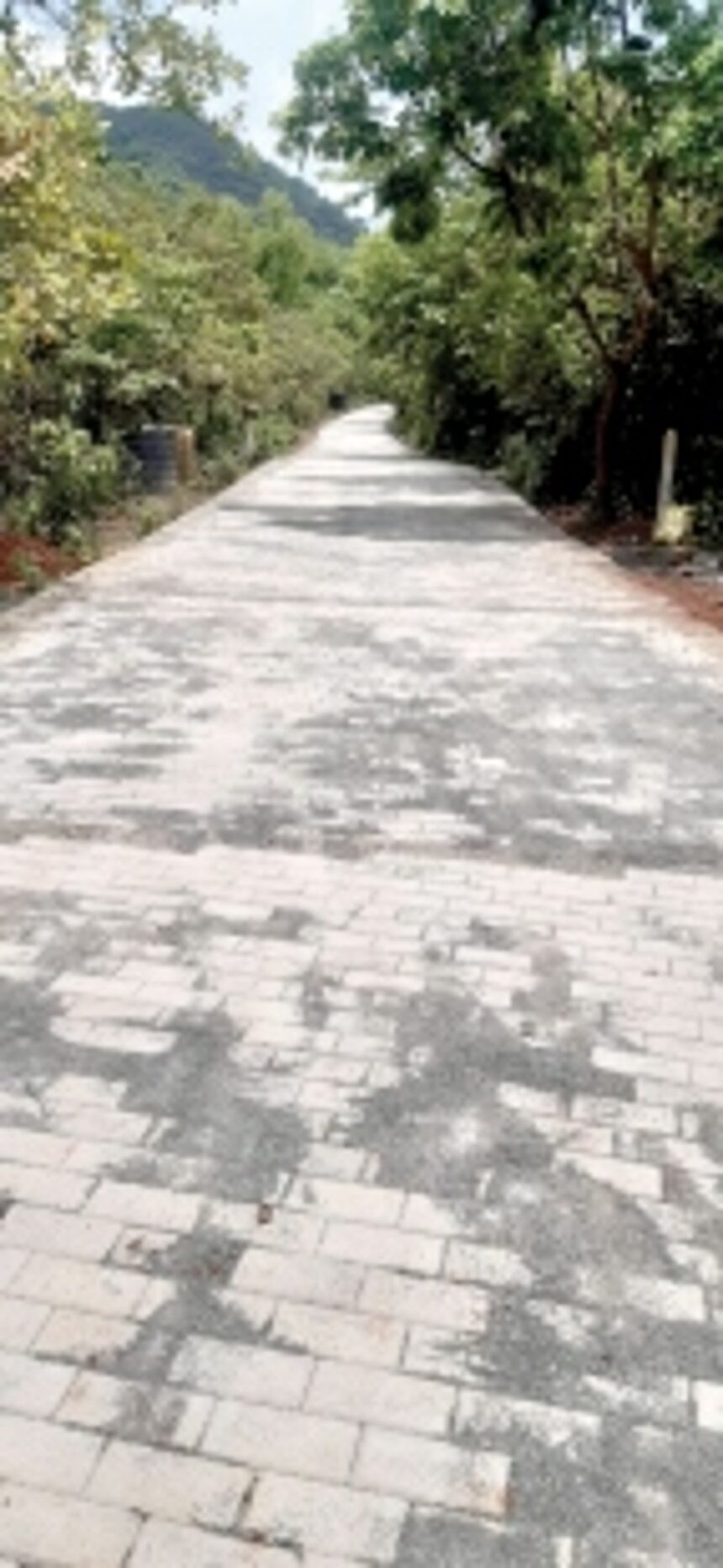 New Valpoi-Belagavi route to cut distance by 30 km