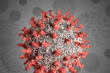 New highs in positive cases, deaths