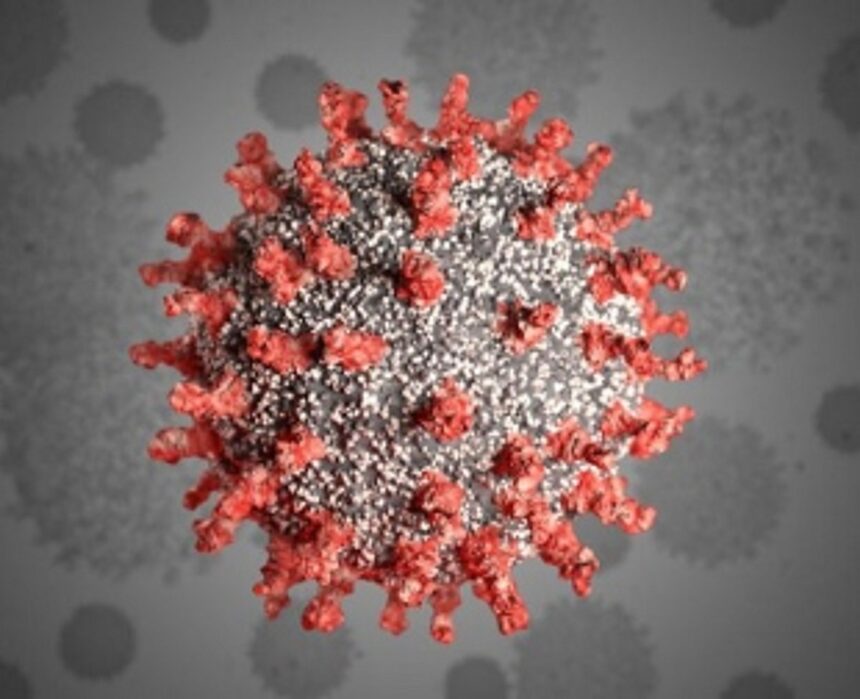 New highs in positive cases, deaths