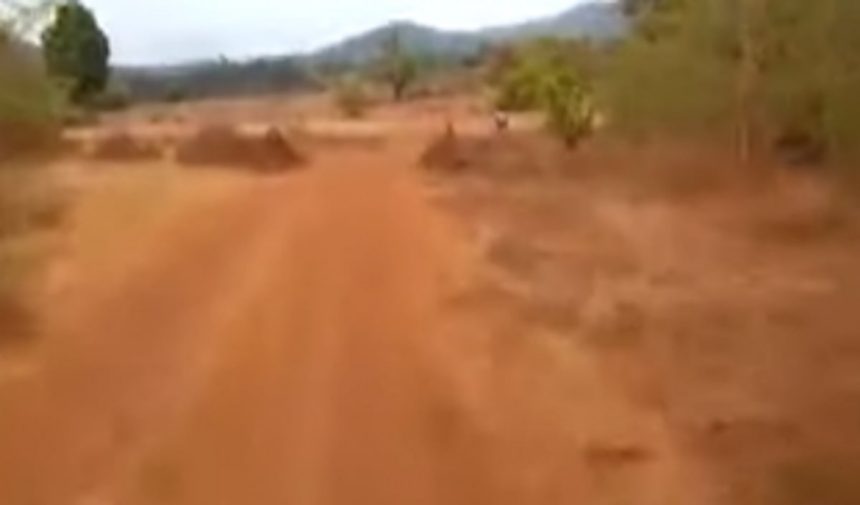 New way to ‘outsmart’ strict  vigil at Pernem check post