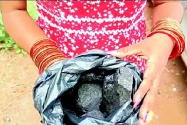 Newly-weds to granddads take to the tracks in protest against noise pollution in Velsao