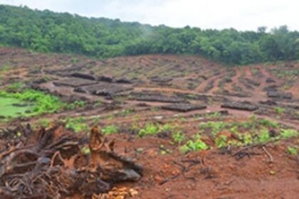 No Central nod for railway track doubling, NH four-laning through sanctuary: CM