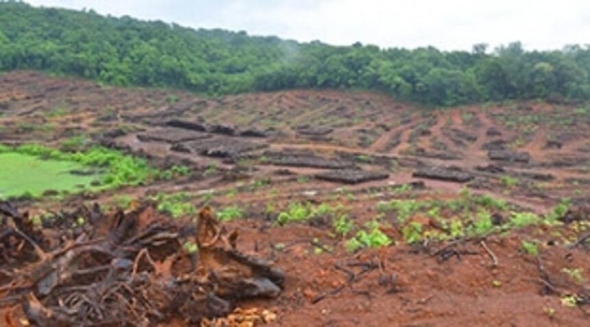 No Central nod for railway track doubling, NH four-laning through sanctuary: CM