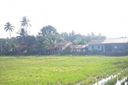 No Western Bypass on stilts for Benaulim? Extra culverts to be built instead: PWD Minister