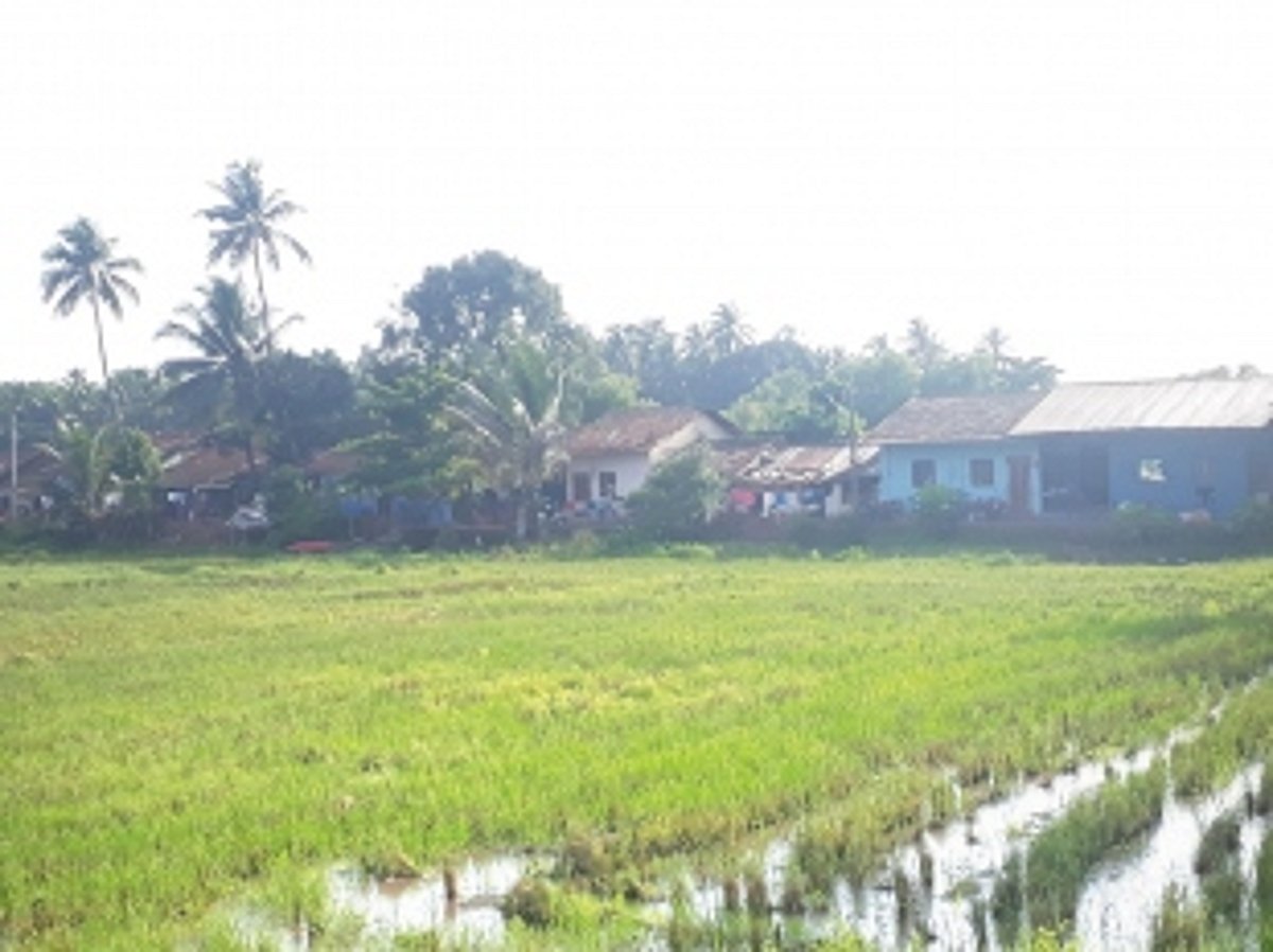 No Western Bypass on stilts for Benaulim? Extra culverts to be built instead: PWD Minister