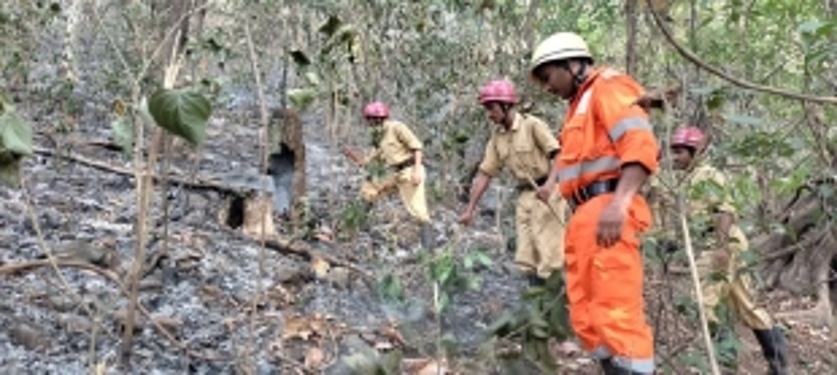 No active flames in Mhadei Sanctuary, says Goa Forest Minister
