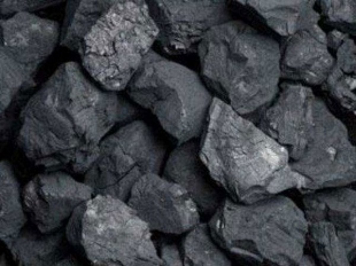 No bids for Goa’s coal block
