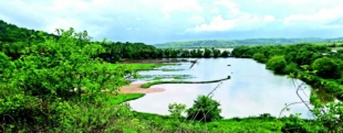 No compensation can replace destroyed khazans, lost livelihoods:Loutolim ryots