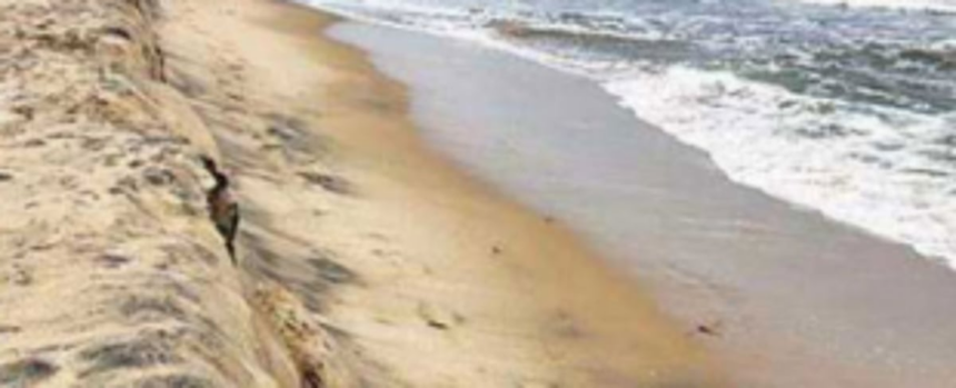 No end in sight  to CZMP saga