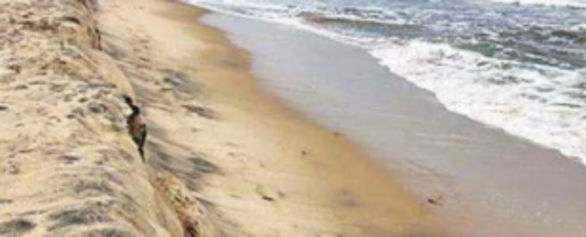 No end in sight  to CZMP saga