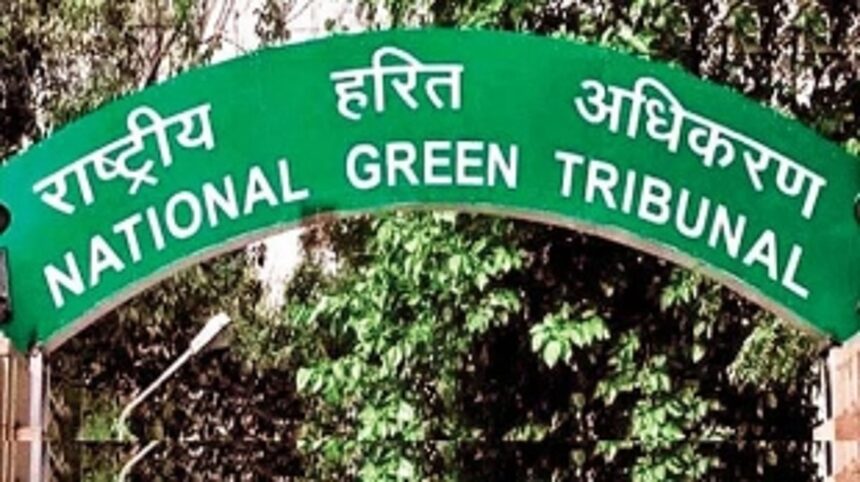 No extension for CZMP finalisation, rules NGT