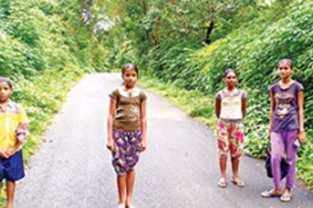 No lines on these routes are busy. No point dialing after sometime