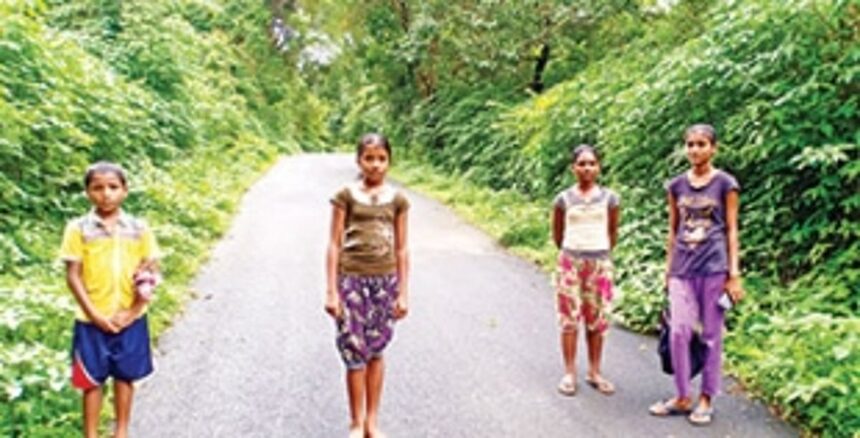 No lines on these routes are busy. No point dialing after sometime