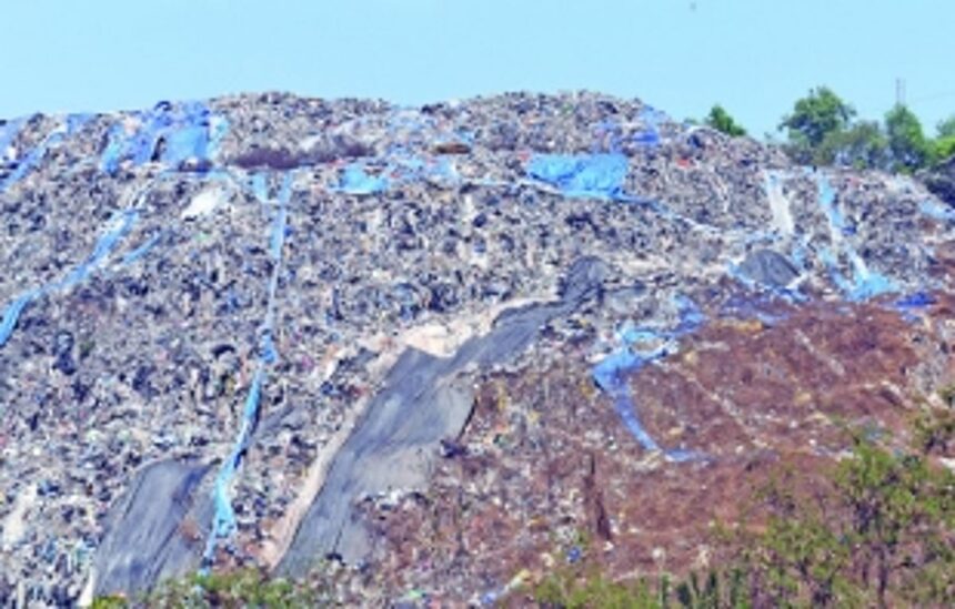 No more SONSODDO please!