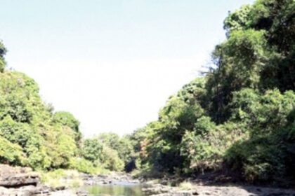 No more excuses on Mhadei, say goa MLAs