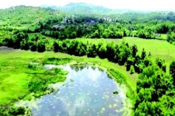 No objections: Cavorim comunidade & P’yat hail wetland designation for ‘Lagoa de Cima’